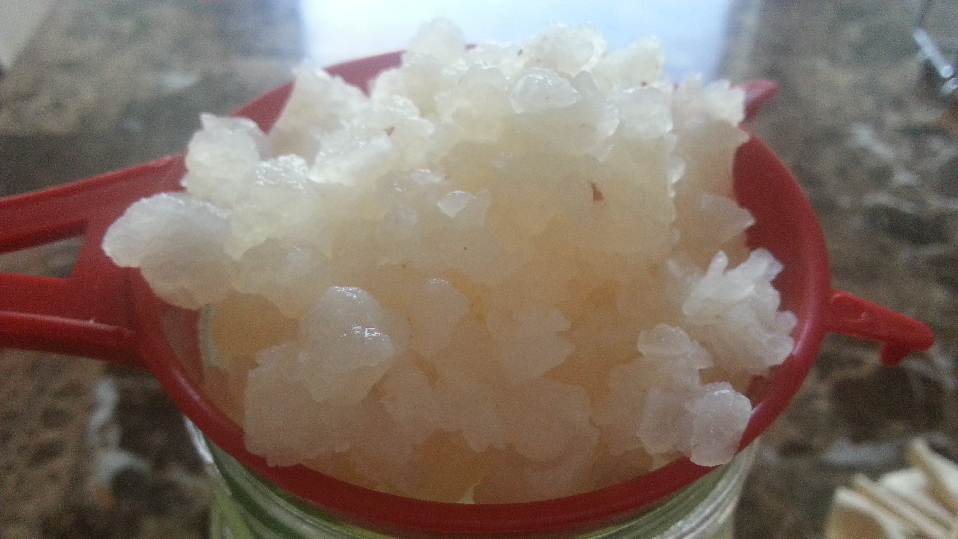 Natural Water Kefir Benefits And Side Effects For Autoimmune