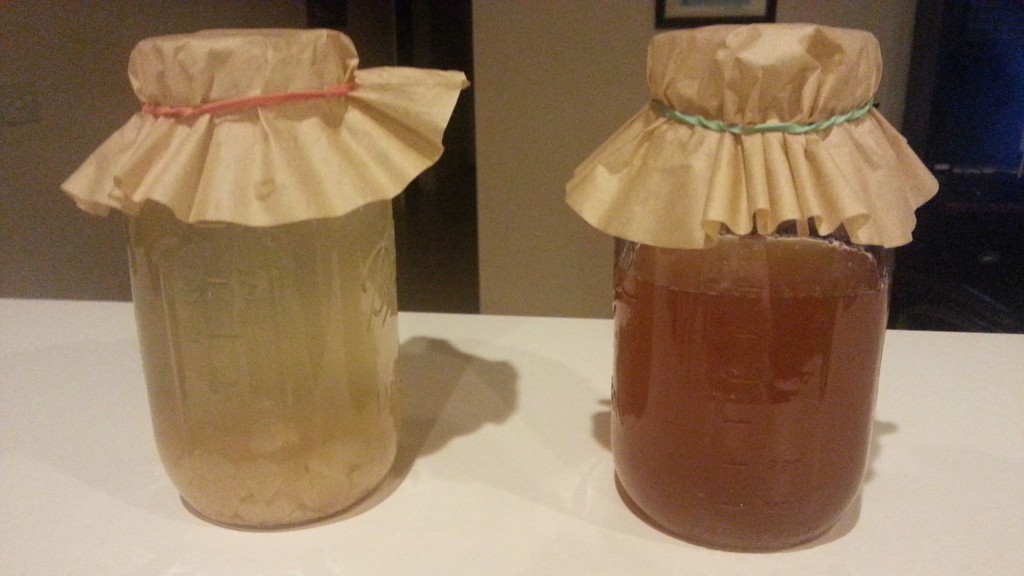 Before & After Water Kefir with Dried Figs.