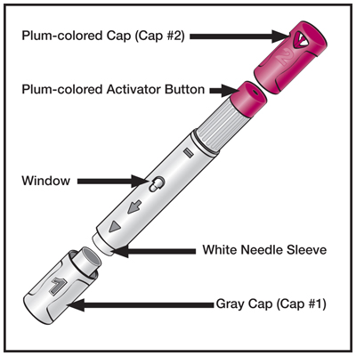 humira-pen-figure-a-pen-image